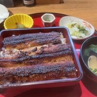 炭焼 うな富士 有楽町店 - 