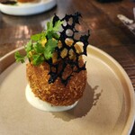 シャイニーアウル - 