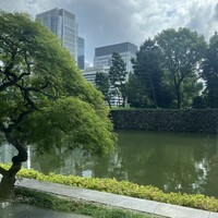 中国飯店 琥珀宮 - パレスホテルロビーからの眺め