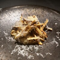 TOSAGE - 