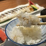 魚と煮込みとわら焼きと ととと - 