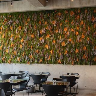 Nicolai Bergmann NOMU_1