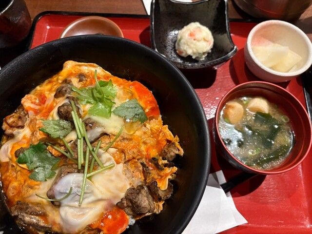 Tori Kagura Yodoyabashi Ten