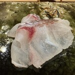 鮨桂太 - 鯛