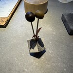 リストランテ スギヤマ - 