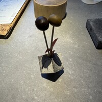 リストランテ スギヤマ - 