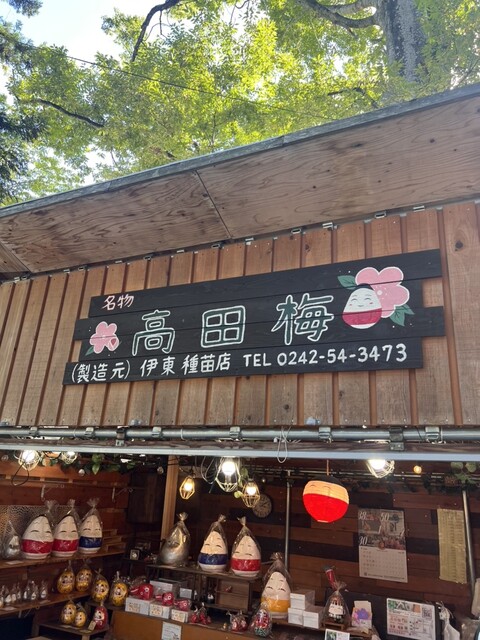 伊東種苗人形店 - 会津高田（その他）の写真