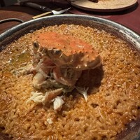 Potoro - 