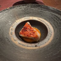 Potoro - 