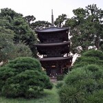 イル・テアトロ - 