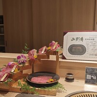 焼肉割烹 YP流 宗右衛門町本店 - 
