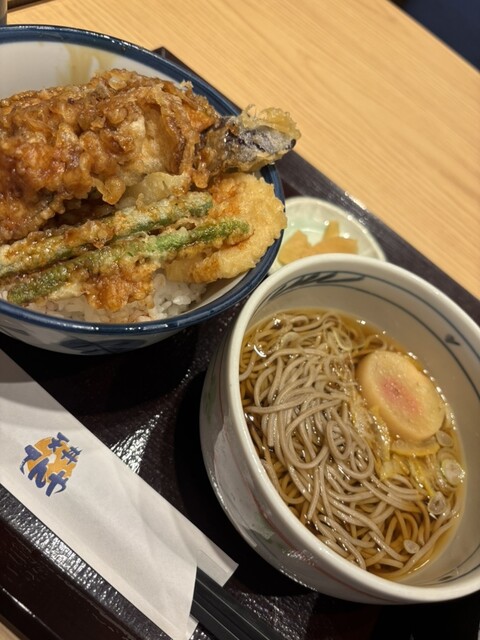 Ten-don Tenya Gakugeidaigaku Ten