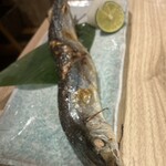 天婦羅と刺身 板前料理 魚天 - さんま！最高！