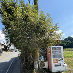 手打ちうどん ぶれーど・う - 