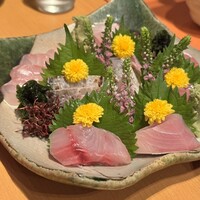 伊豆の旬 やんも 南青山店 - 