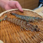 てんぷら 一心 - 