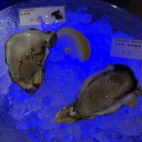 MAIMON GINZA - 