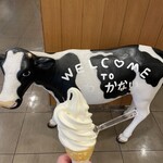 オレンジエッグ - 料理写真: