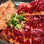 炭火焼肉 ぶち - ハラミ、ミノ