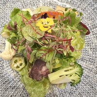サンタ・マリア・ノヴェッラ・ティサネリーア 京都店 - 