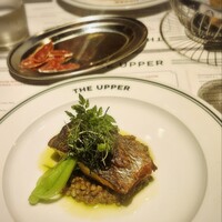 THE UPPER - 