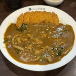 ＣｏＣｏ壱番屋 ＪＲ川崎駅西口通り店 - 