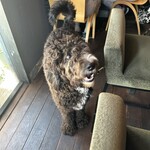 イノチェンテ - 