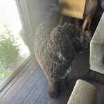 イノチェンテ - 