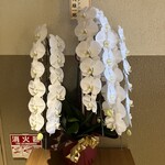 モーモーパラダイス - リニューアルオープンおめでとう