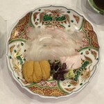 馬車道 大かわ - 大間ひらめ　紫雲丹