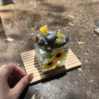 RAMA 白金 - 