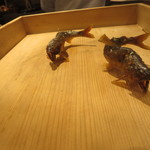 料理屋 植むら - 焼かれた鮎