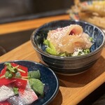 居酒屋 たぬき - 