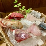 しんのすけ - 造り…おまかせ盛合せ