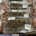 ショッピングセンターのぐち 湯沢ハーツ店 - 