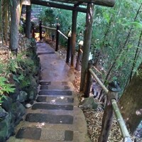 九つ井 本店 - 