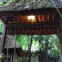 九つ井 本店 - 
