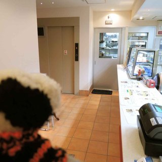 ウィステリア_2