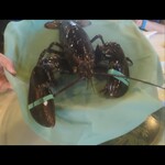 HOUSE OF WONG RESTAURANT - 