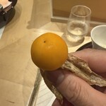 しんせん 割烹 佐乃家 - 