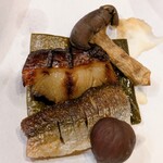 広島 鉄砲町 稲茶 - 