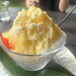 空間舎 - マンゴー