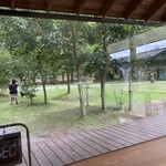 ミルグリーン - 店内からの風景