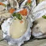 三崎のまぐろ さかな居酒屋 コトブキヤ - 