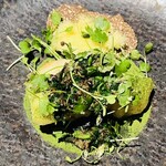 ラ・ヴァガボンド - 真魚鰹