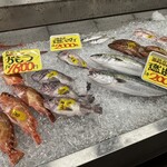 とれとれ横丁 - 