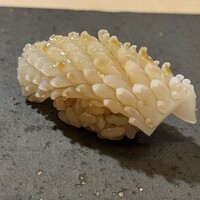 鮨 龍馬 - 
