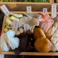 シャングリラズシークレット 銀座店 - キノコ