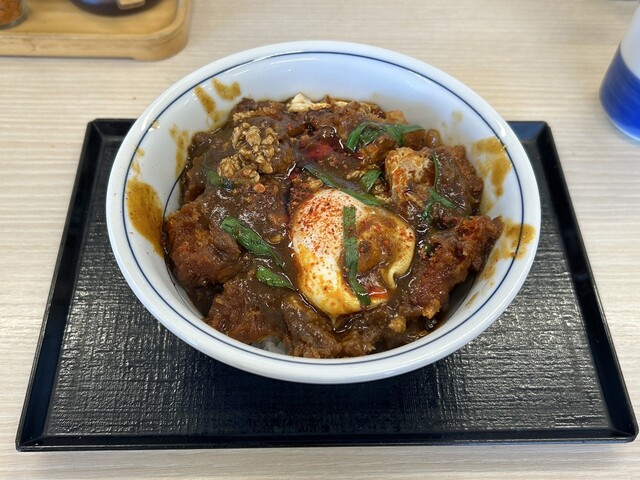 Katsuya Aichi Kasugai Inter Ten photo 5