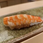 鮨 ひろ海 - 車海老